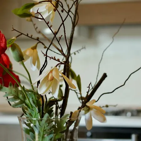 Holiday home Spiri Apartement *